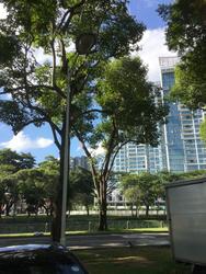 Blk 34 Whampoa West (Kallang/Whampoa), HDB 3 Rooms #137397742